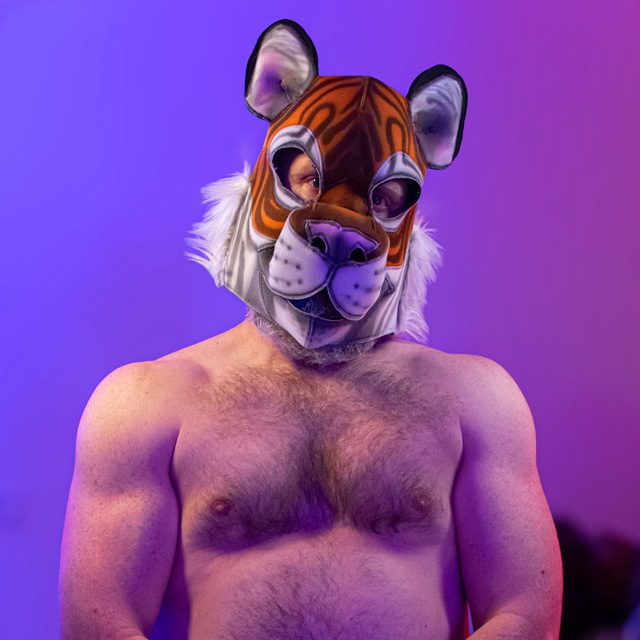 0bengal
